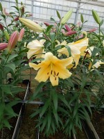 [5644 VH74 No01.JPG]